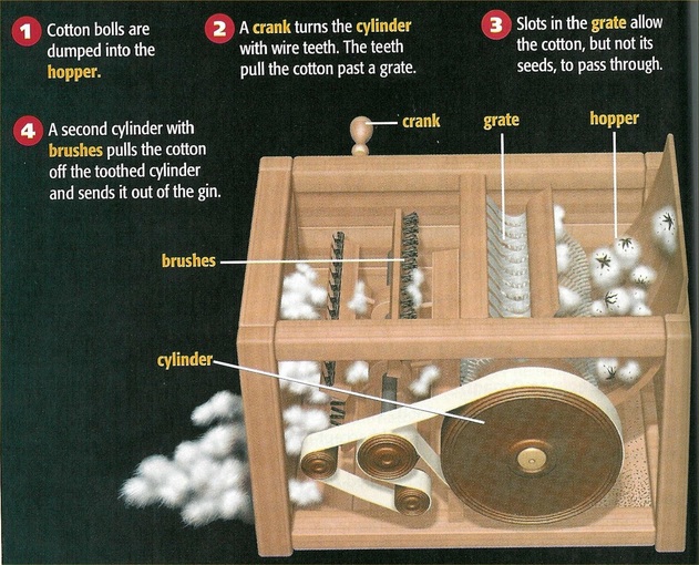How the Cotton Gin works The Cotton Gin